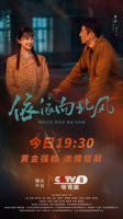 依依向北风电视剧免费观看在线